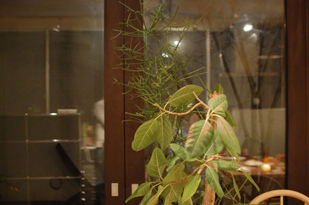 130210-16.jpg