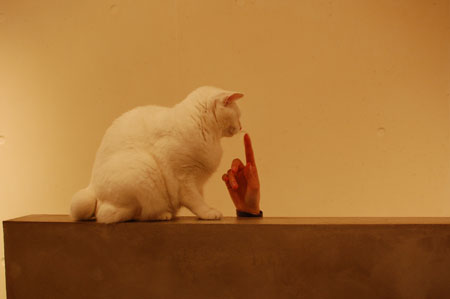 130210-21.jpg