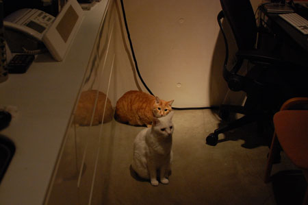 130210-22.jpg