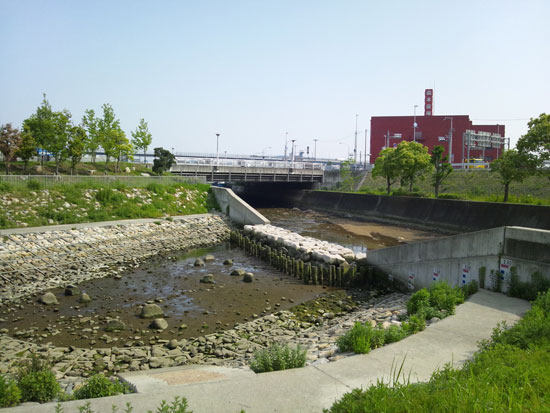 190511-6.jpg